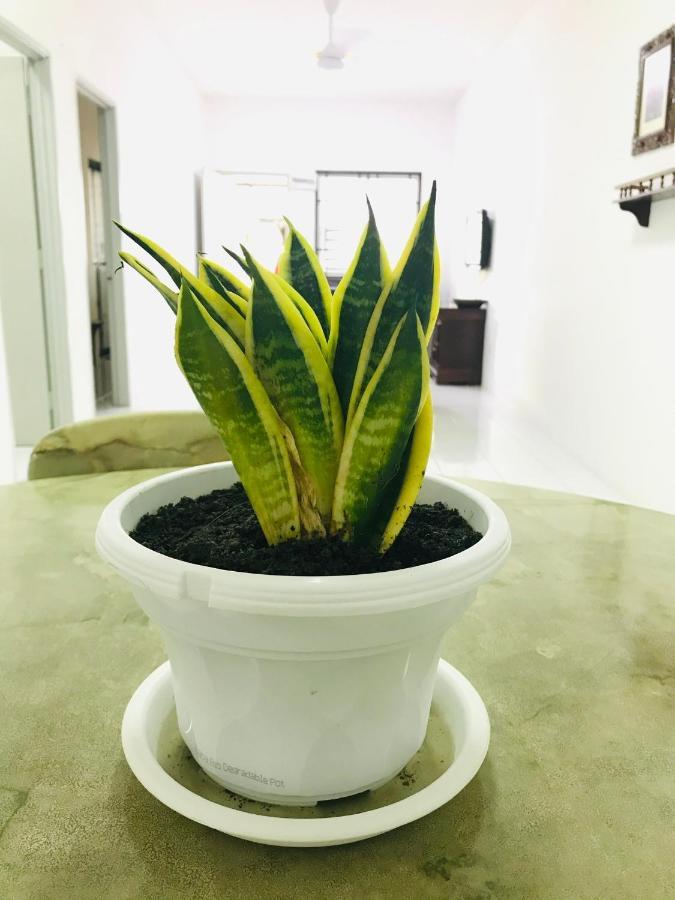 Alyn Home Batu Pahat II Wifi Coway Mohd Noor Esterno foto